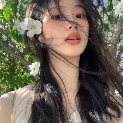 关于灰鸽子的歌